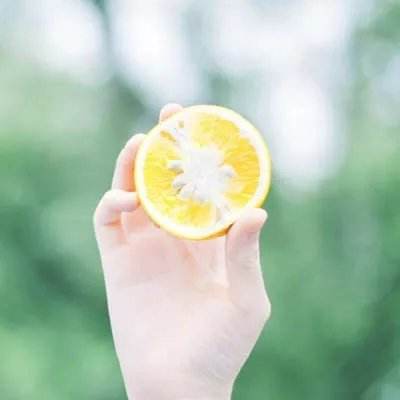 宝宝家园清洁官方版下载